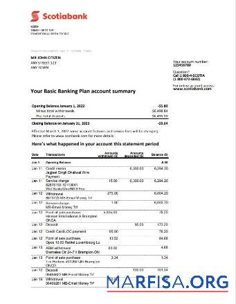 Realistic Australia Scotiabank statement word real example